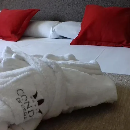 Condes De Urgel Hotel 4*